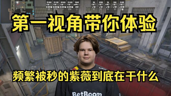 产业化是第